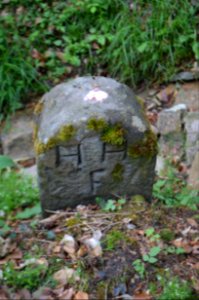 Seulberger Mark, Grenzstein HH SR P 45, HH F, Friedrichsdorfer Seite
