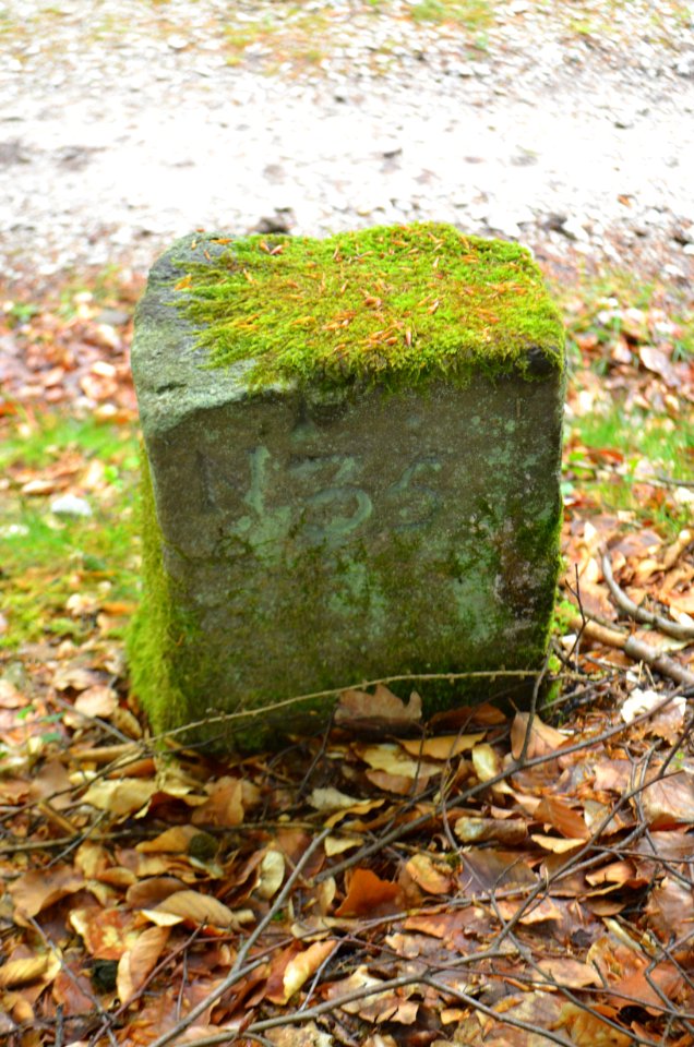 Seulberger Mark, Grenzstein HH K 37, HH SR P 35, Köpperner Seite