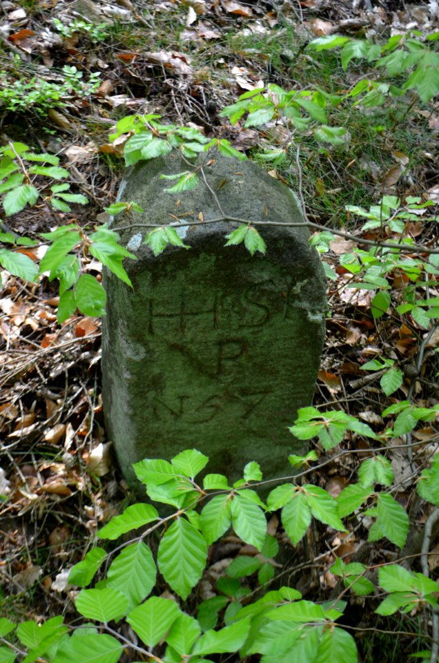 Seulberger Mark, Grenzstein GI OE 31, HH SR P 57, Petterweiler Seite