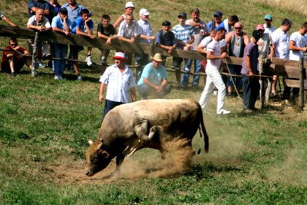 Sanski Most Korida 2011 015