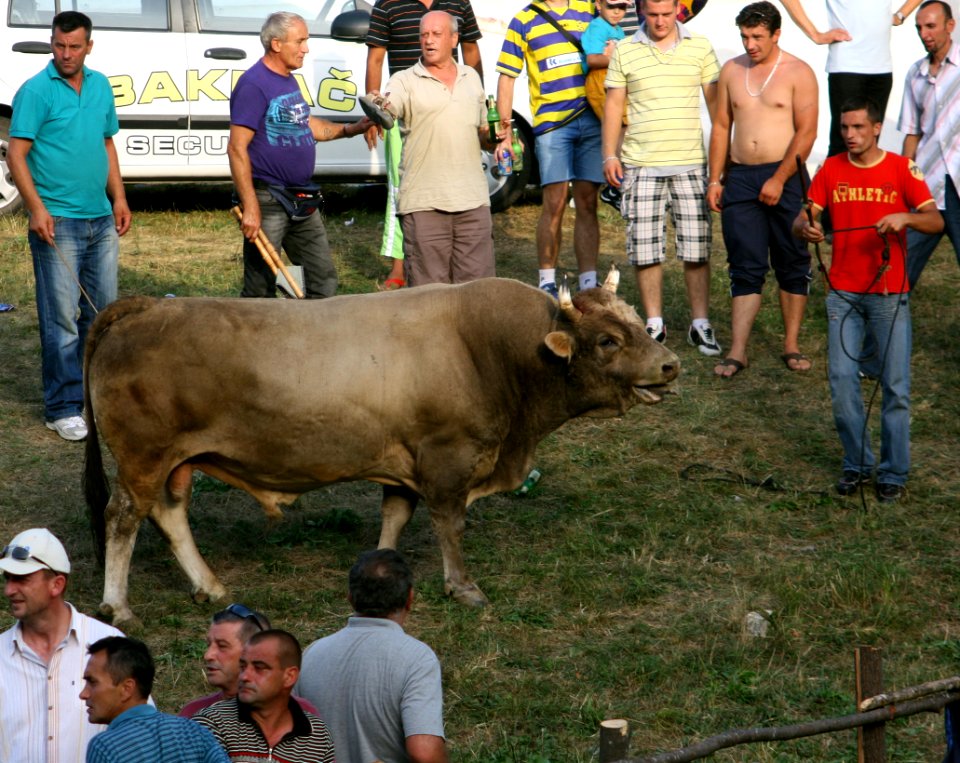 Sanski Most Korida 2011 004