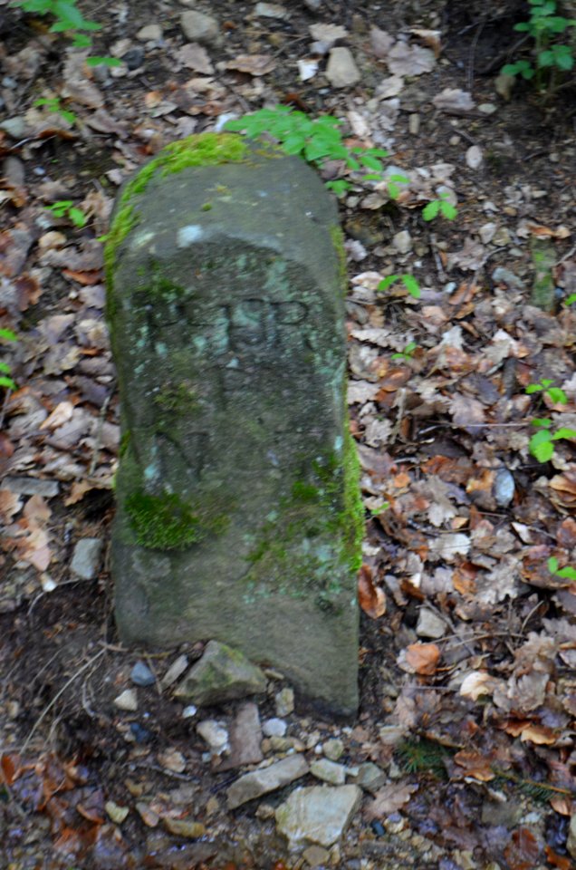 Seulberger Mark, Grenzstein GI OE, HH SR P (2), Petterweiler Seite