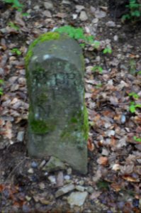 Seulberger Mark, Grenzstein GI OE, HH SR P (2), Petterweiler Seite