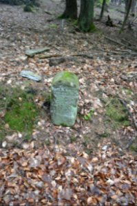 Seulberger Mark, Grenzstein GI OE, HH SR P 58, Petterweiler Seite