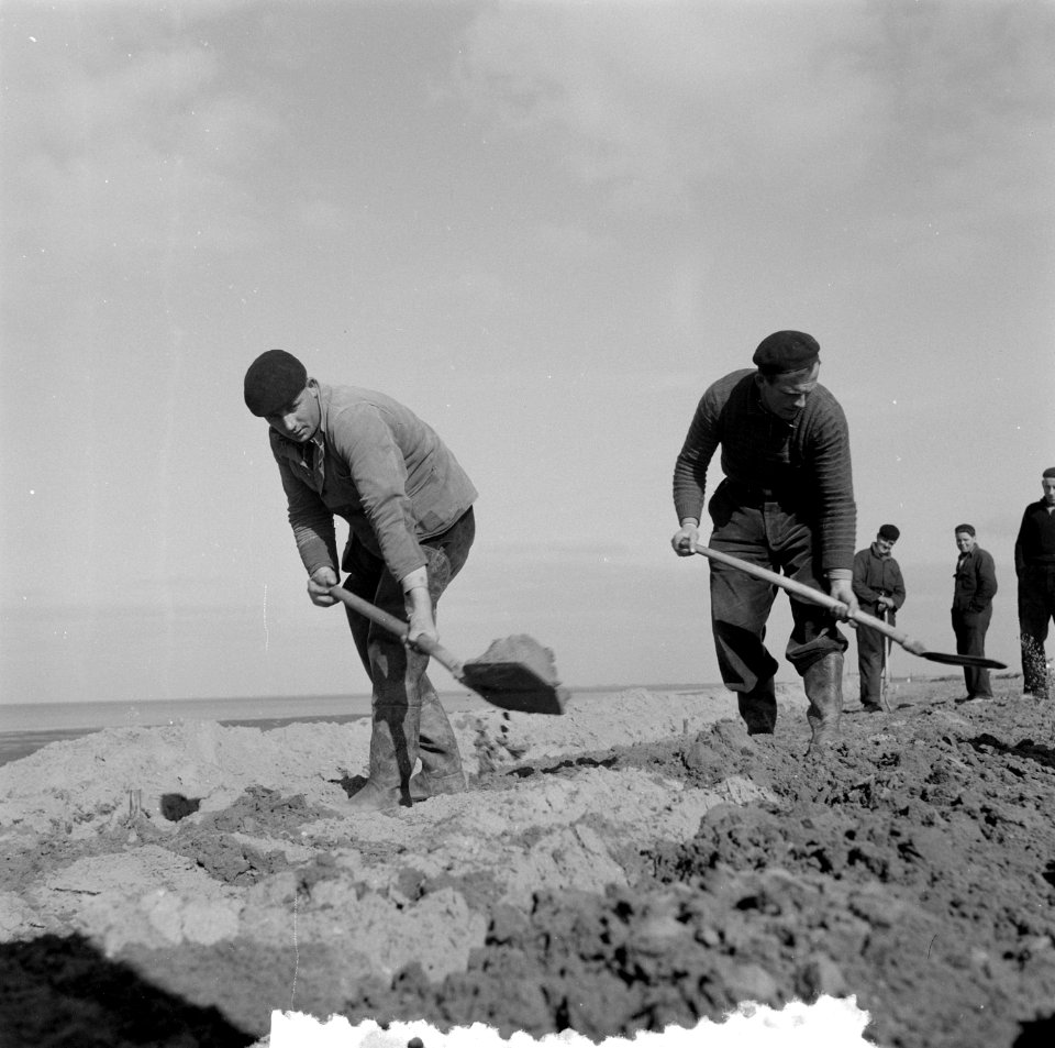 Serie droogvallende Oosterpolder, Bestanddeelnr 908-3800