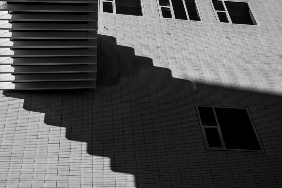 Shadow (42479894)