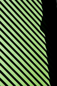 Shadow (114195809)