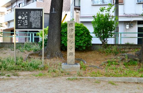 Settsu Kokubunji-ato, sekihi
