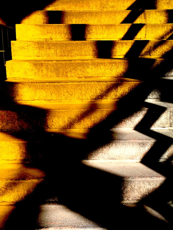 Shadow (202305745)