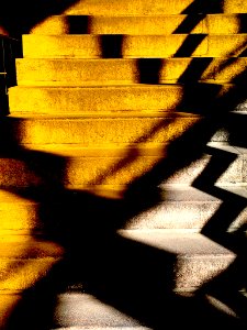 Shadow (202305745)