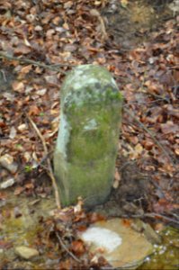 Seulberger Mark, Grenzstein GI OE, HH SR P (1), Petterweiler Seite