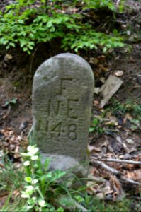 Seulberger Mark, Grenzstein F NE 48, HH SR P 13, Nieder-Erlenbacher Seite