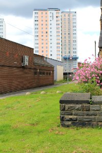 Shakespeare Flats 2019-07-18 (7)