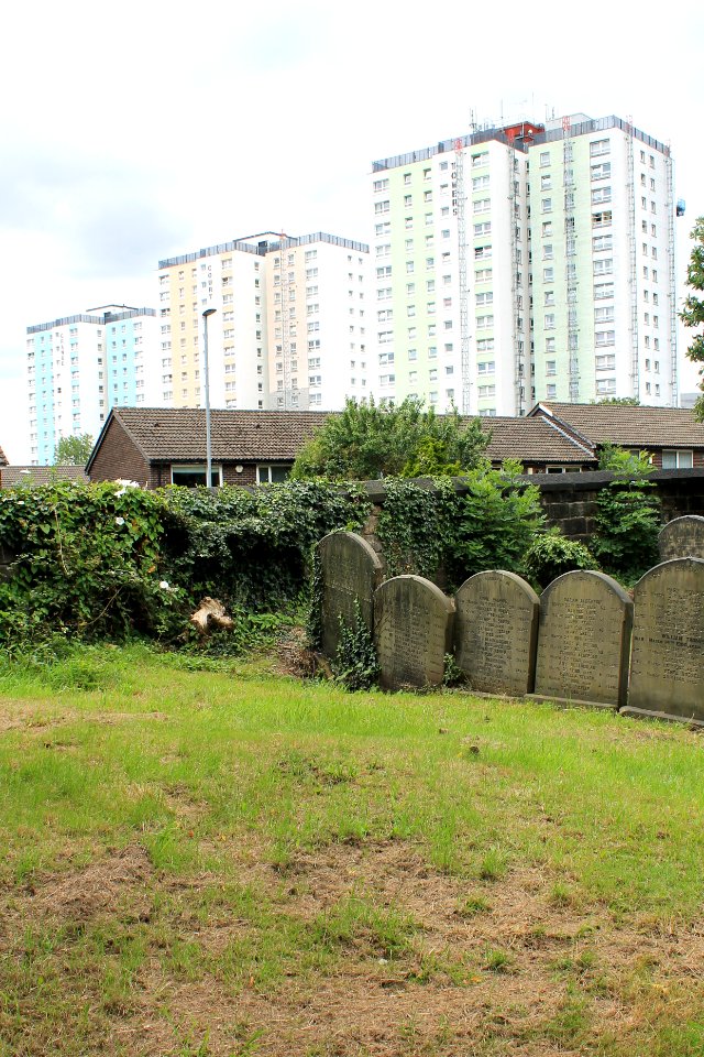 Shakespeare Flats 2019-07-18 (1)