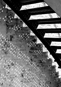 Shadow On The Wall (41848612)