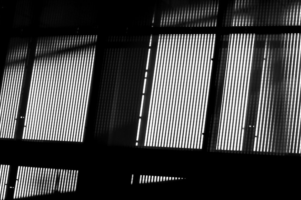 Shadow (57698886)