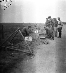 Serie Landmijnen ruimen bij Hoek van Holland, Bestanddeelnr 900-6472 photo