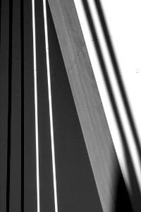 Shadow (56852502)