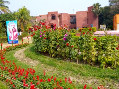 Set of Ruhan - 10