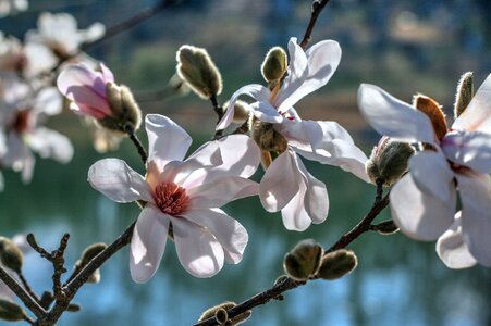 Pastel light nature