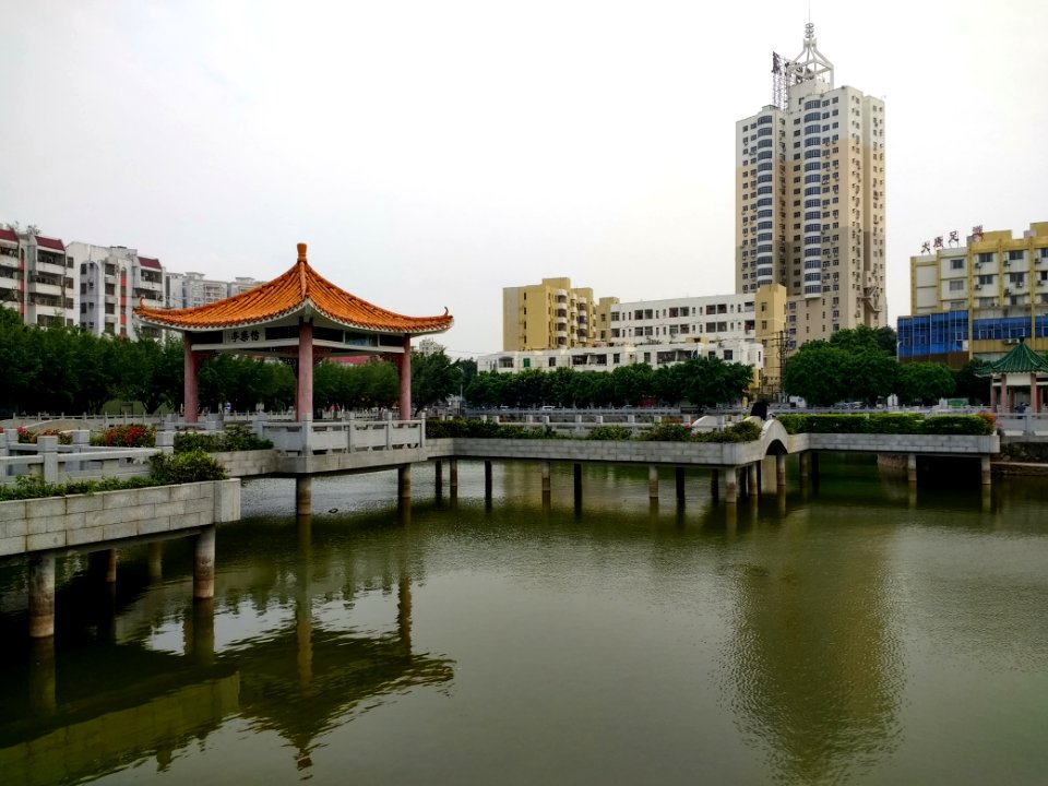 Shajing 2019-02-27