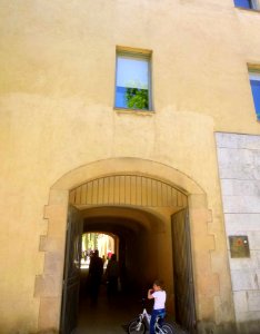Sant Feliú de Llobregat - Palau Falguera 17