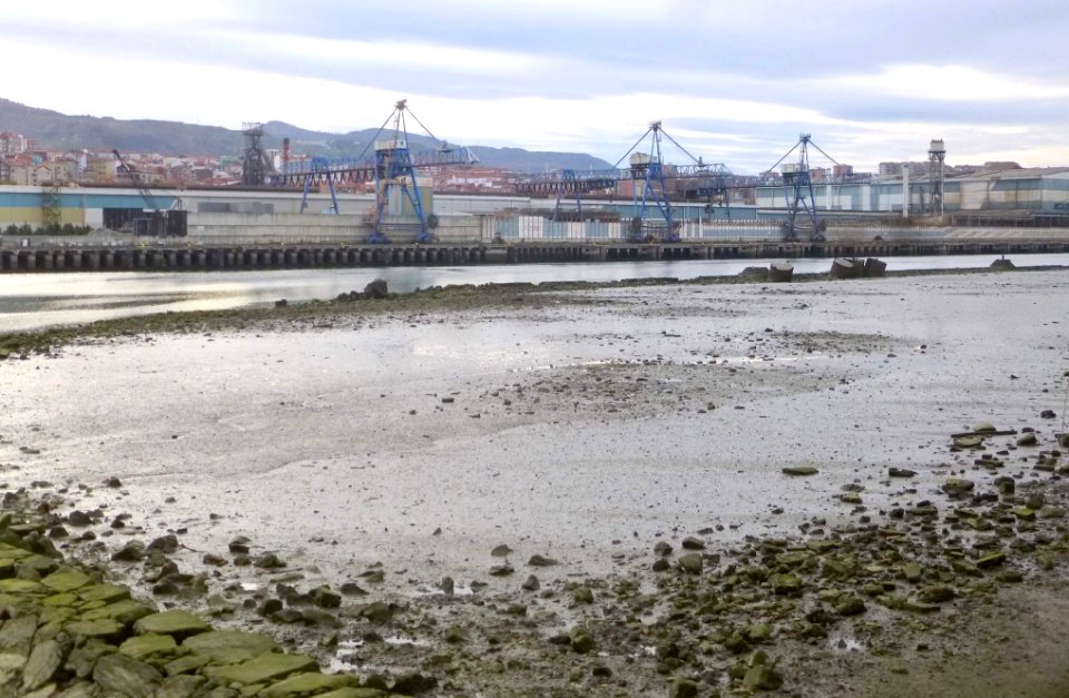 Sestao - ArcelorMittal Sestao (Acería Compacta de Bizkaia, ACB) 2