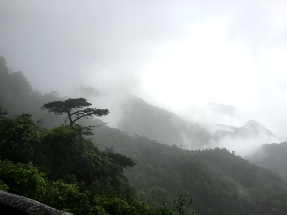 Sanqing Mountain is surrounded by clouds and mists1