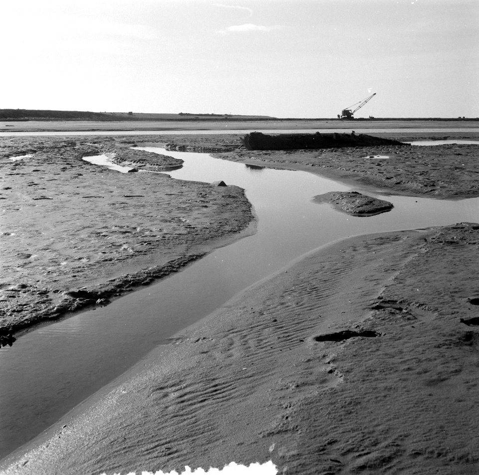 Serie droogvallende Oosterpolder, Bestanddeelnr 908-3796