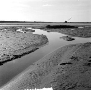 Serie droogvallende Oosterpolder, Bestanddeelnr 908-3796