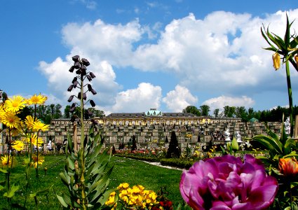 Sanssouci potsdam