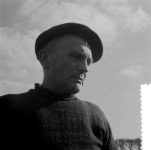 Serie droogvallende Oosterpolder, Bestanddeelnr 908-3788
