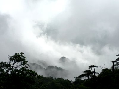 Sanqing Mountain is surrounded by clouds and mists3