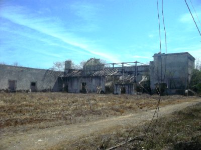 Santa Cruz (Sinanché), Yucatán (04)