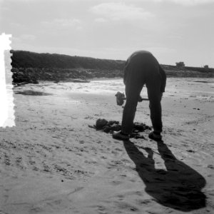 Serie droogvallende Oosterpolder, Bestanddeelnr 908-3791