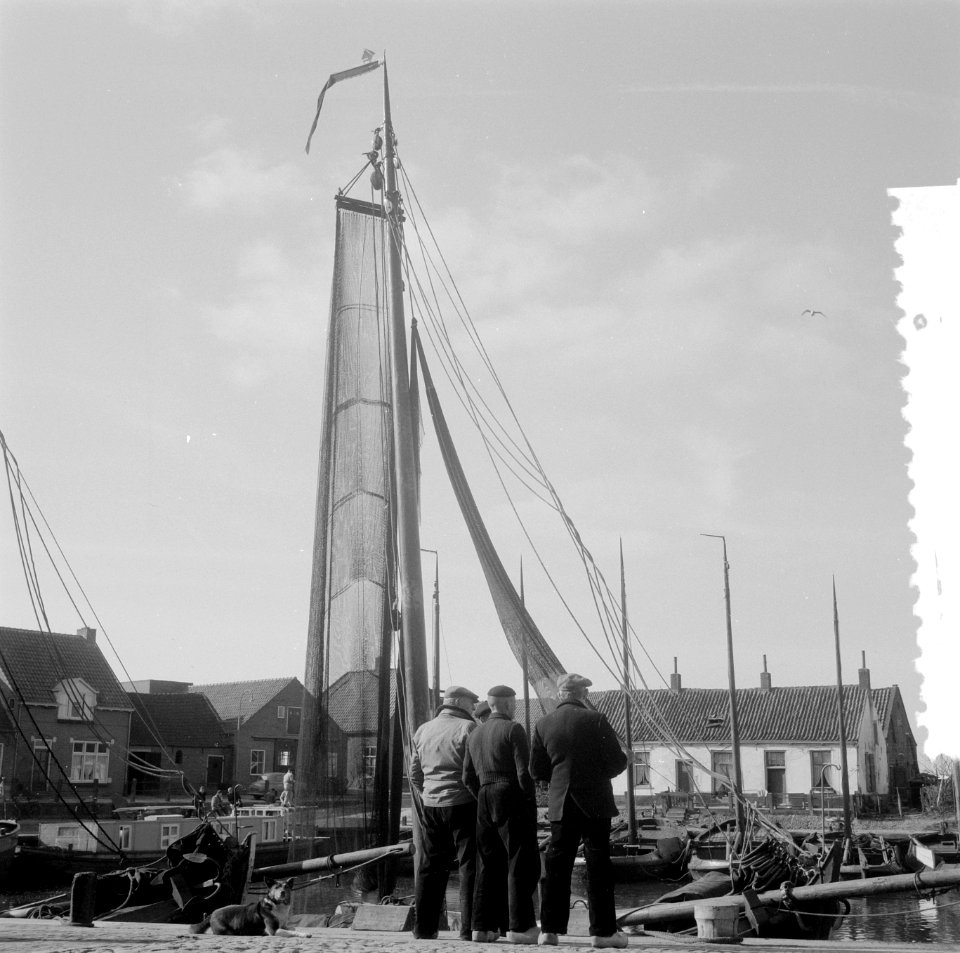 Serie droogvallende Oosterpolder, Bestanddeelnr 908-3805