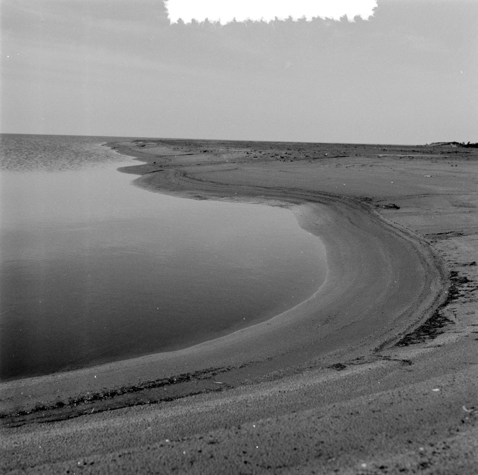 Serie droogvallende Oosterpolder, Bestanddeelnr 908-3801