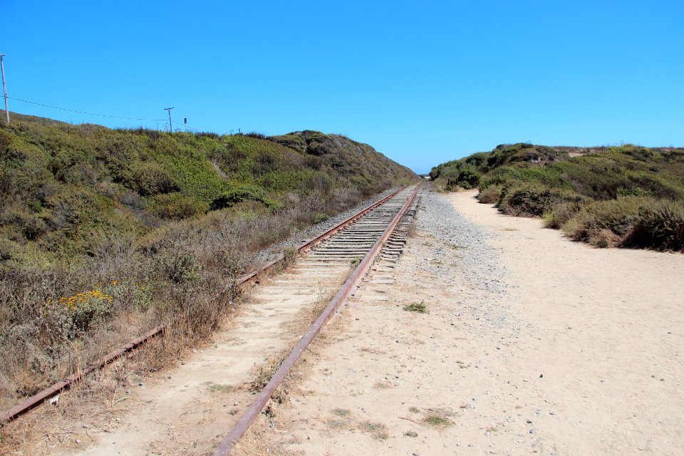 Santa Cruz Branch at Shark Fin Cove, August 2019
