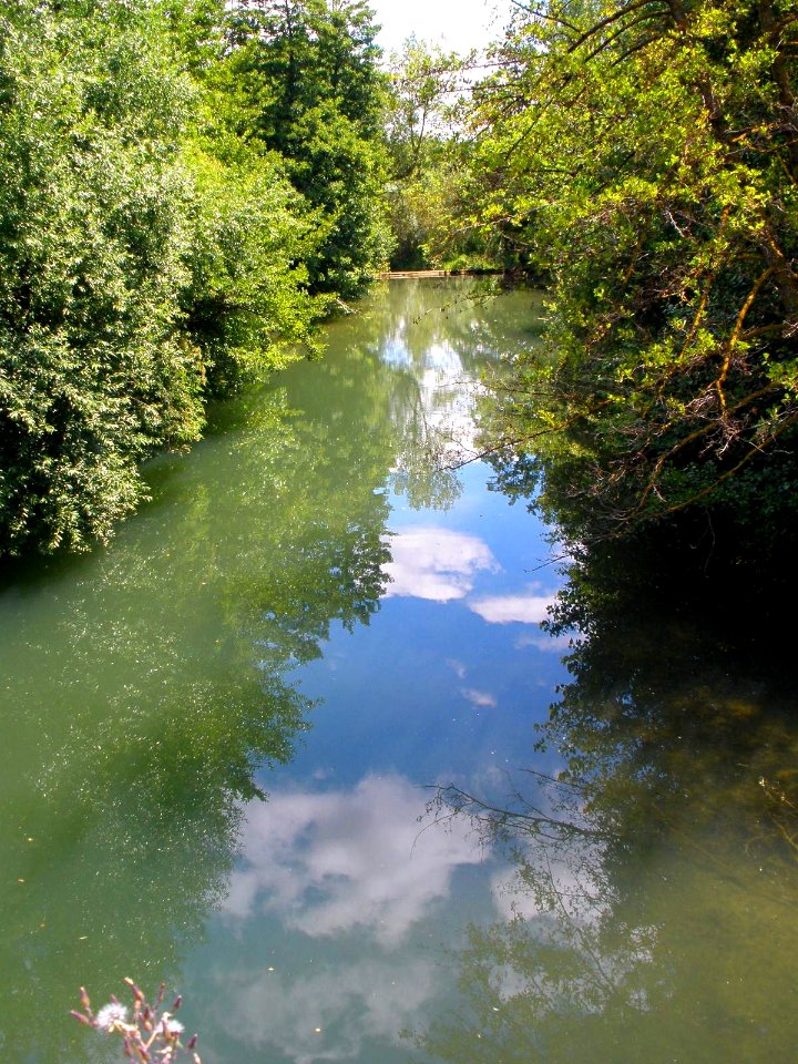 Santa Cruz de Campezo, río Ega