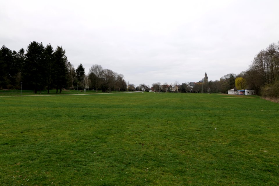 Seewiese Friedberg 2021-04-02 07