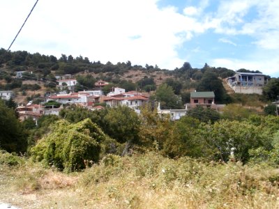 Seta 8074817