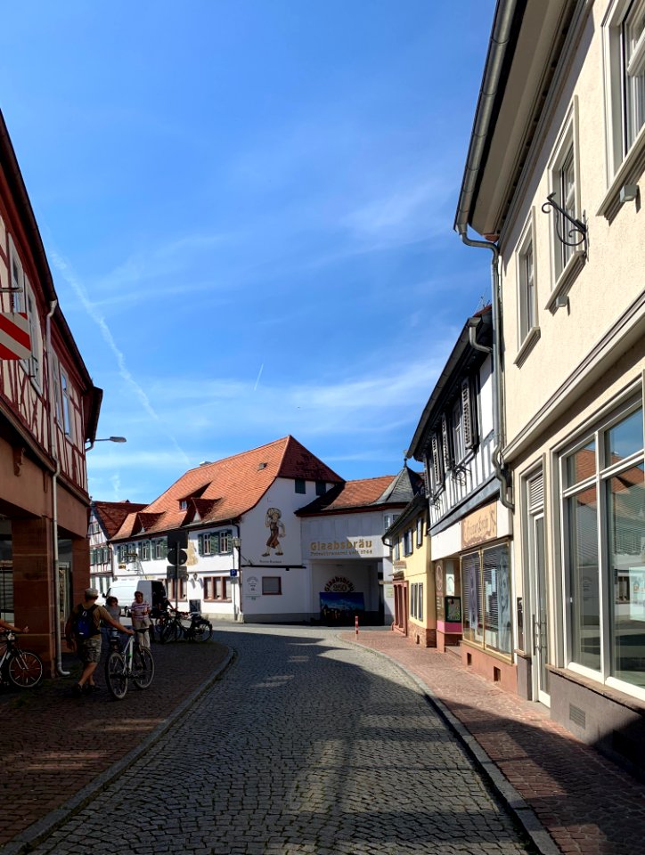 Seligenstadt, Frankfurter Straße 9