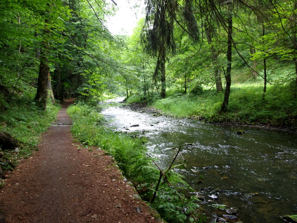 Selketal-Stieg (25)