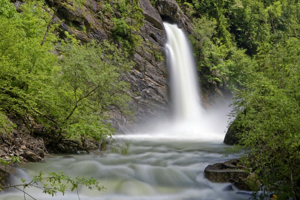 Forest waterfall nature photo