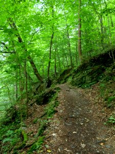 Selketal-Stieg (8)