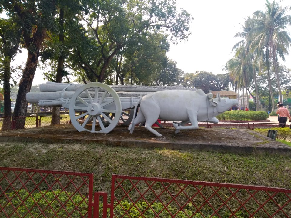 Set of Ruhan - 24