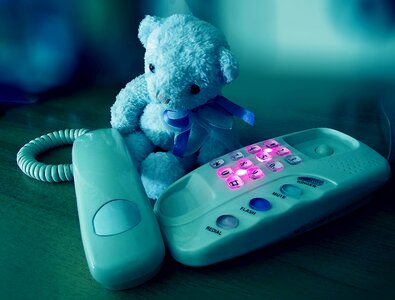 Bear teddy bear teddy