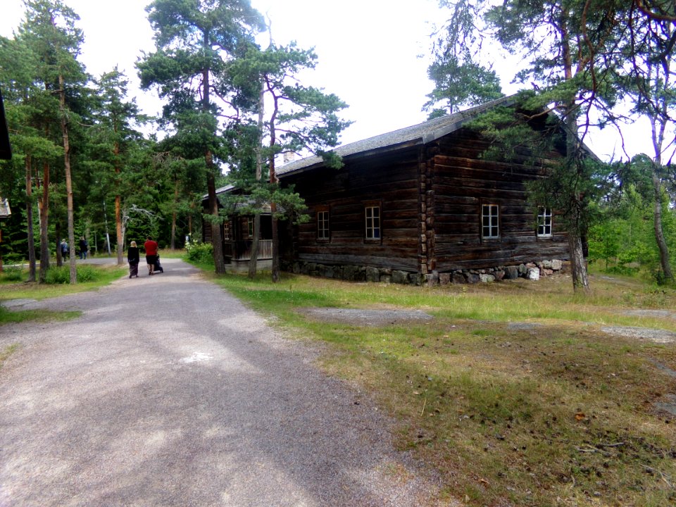 Selkämä