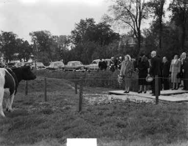 Serie Bezoek koningin Juliana en prins Bernhard aan Friesland. Modelboerderij v, Bestanddeelnr 904-2137