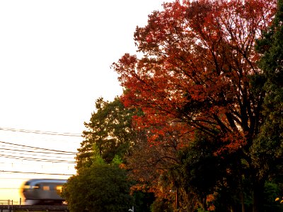 Seibu 001 Laview in Higashi Kurume(Autumn)